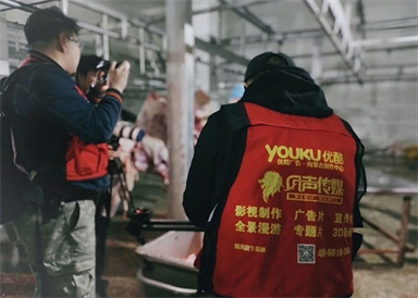 &#20048;&#40060;&#25163;&#26426;&#31449;&#20837;&#21475;&#45;&#20048;&#40060;&#111;&#110;&#108;&#105;&#110;&#101;&#40;&#20013;&#22269;&#41;